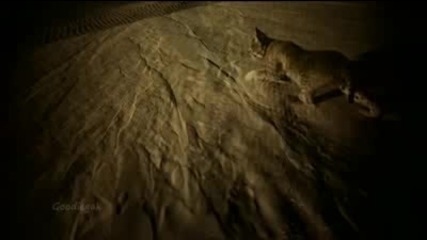 Secret Land (instrumental Arabic Music)
