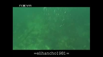 Бг Рекорд 50 Часа Под Вода в Морето 