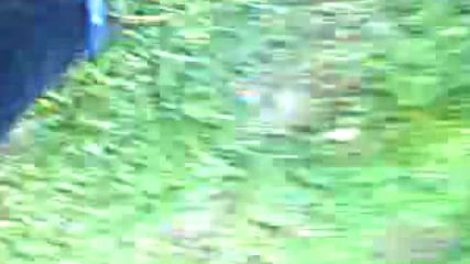 Gok Kapisi Acildi Ya Firdevs Cenneti Muhtesem Mucizeye Sahit Oldum Ya 2017 Hd