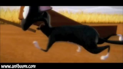 Feed the cat Funny Animation High Quality 