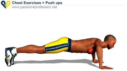 Body area - Chest 6 (pectorals)