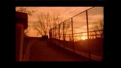 Endless Zone - Pleaca