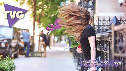Meadowlark - Eyes Wide