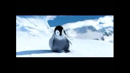 penguenden karadeniz havas