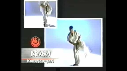 Kansetsu - Geri.avi