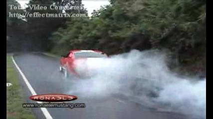 Ford Mustang Gt Burnout