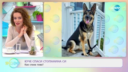 Куче спаси стопанина си - Как стана това? - „На кафе” (05.02.2021)
