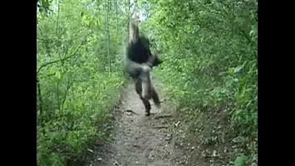 Един пада, друг се смее! д