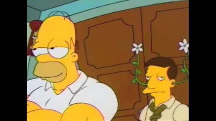 The Simpsons - $pringfield 