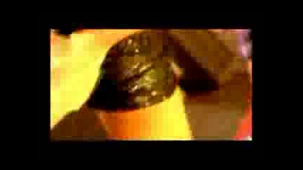 Pussycat Dolls - Dont Cha - Live