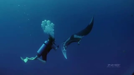 Ocean Oasis Giant