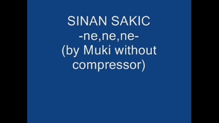 Sinan Sakic Ne,ne,ne