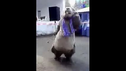 Много готин танц ;дд
