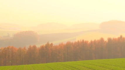 Deep Autumn Quiet Scenery Quiet Music