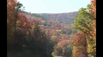 Fall Color in Hot Springs 