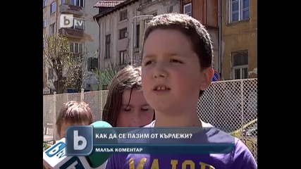 Как да се пазим от кърлежи