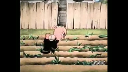 Warner Bros - 091137 Porkys Garden Lt Cn Colorized 