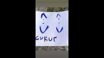 Vid_57311214_031519_159.mp4