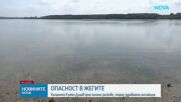 Забрана за къпане в река Дунав във Видин