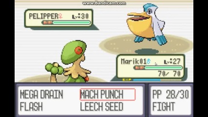 pokemon ruby s men Djcool #29