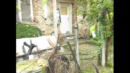 Sam_0056