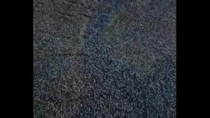 Удивителната и неповторима планета Земя! 