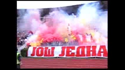 Crvena Zvezda Ultras