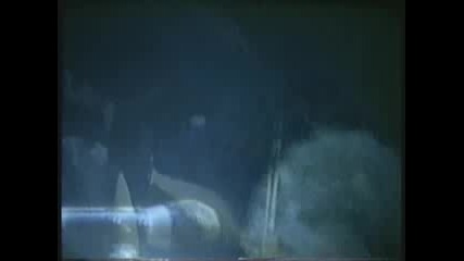 Bon Jovi - Lie To Me (deer Creak 1995)