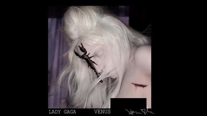 Lady Gaga - Venus ( Snippet )