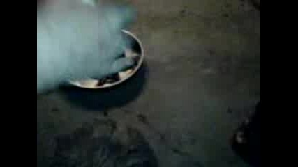 Jabi