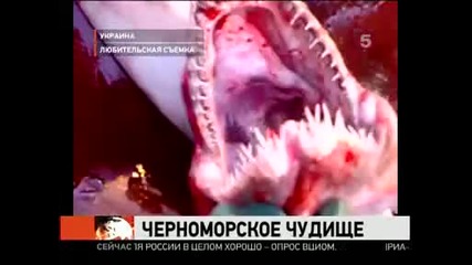 Чудовище в Черно море