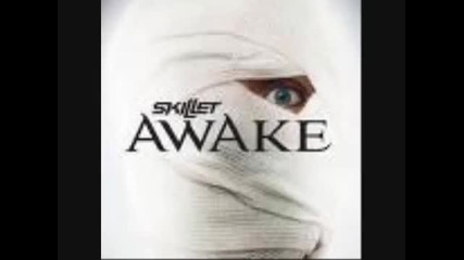 Skillet - Hero