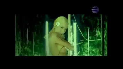 Камелия - Черна кръв [официален]
