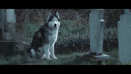 Hardwell feat. Jonathan Mendelsohn - Направата на музикалното видео " Echo " от Robin Piree