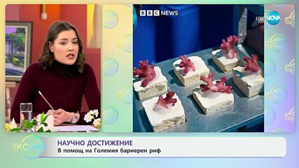 Научно достижение: В помощ на Големия бариерен риф - „На кафе” (14.03.2024)