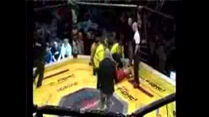 Sick Mma Knockout
