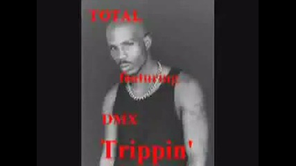 Dmx - Trippin