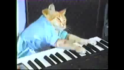 Изумително - Котка свири на пиано !