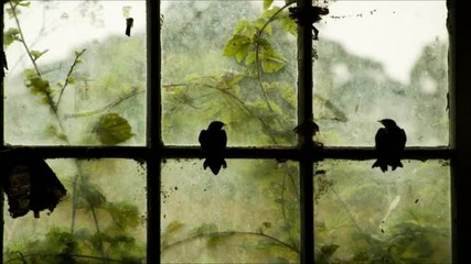 Jose Tabarez - Birds (original Mix)