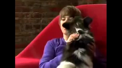 Justin Bieber .. like dogs 