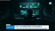 РЪСТ НА КИБЕРПРЕСТЪПЛЕНИЯТА: Всеки 20-и българин е жертва на измама онлайн