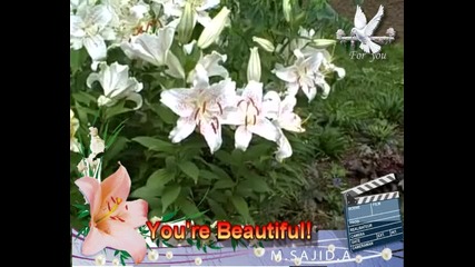 Youre Beautiful! 