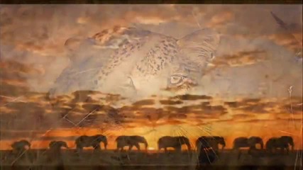 Африка, Geoffrey Oryema - Makambo