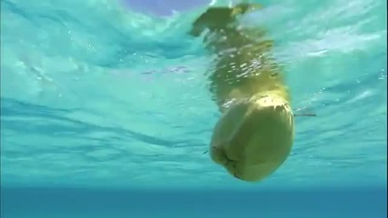 Virtual Trip - Tahiti - Part 5 