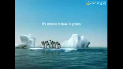 Penguin - Funny