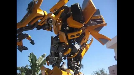 Bumblebee in Hollywood