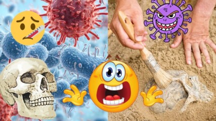Учени откриха най-стария вирус?🦠