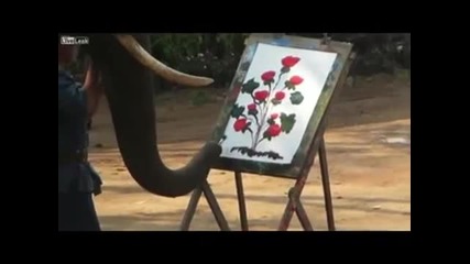 Слон рисува с хобот