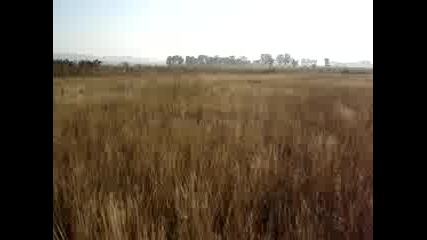 Mov00003.mpg
