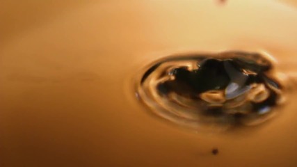 Lady Gaga - Fame perfume advert